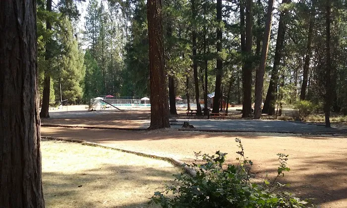 PSEA Camp Shasta Picture 6