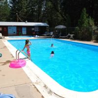 PSEA Camp Shasta ico