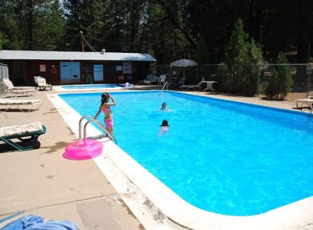 PSEA Camp Shasta