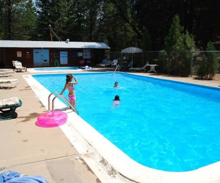 PSEA Camp Shasta