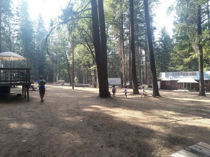 PSEA Camp Shasta Picture 9