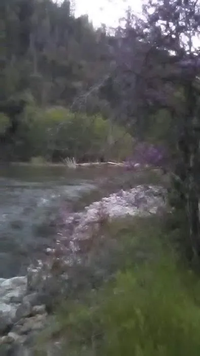 Ruling Creek Campground - Entrance Picture 2