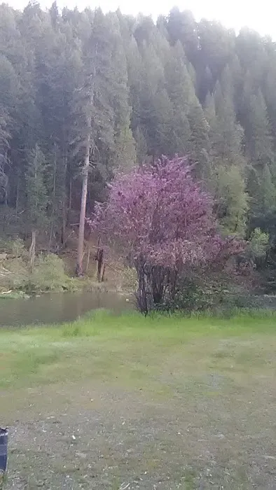 Ruling Creek Campground - Entrance Picture 4