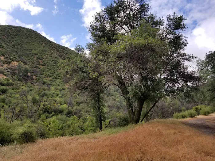 Bates Canyon Campground Picture 4