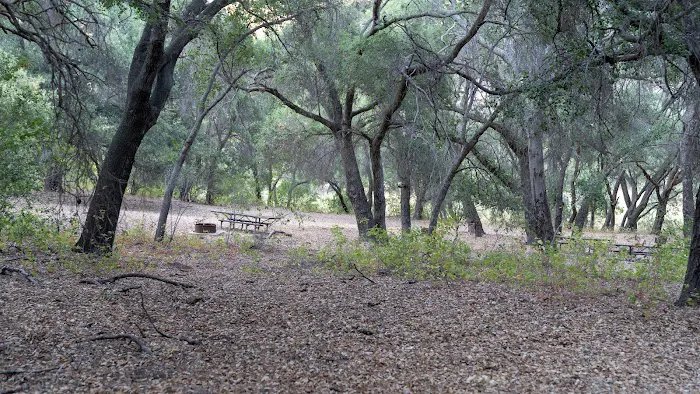 Barrel Springs Campground Picture 6