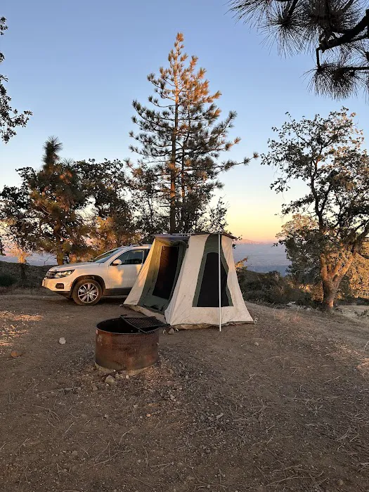 Miranda Pine Campground Picture 2