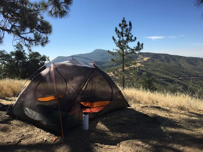 Miranda Pine Campground Picture 9