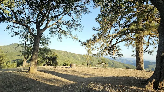 Miranda Pine Campground Picture 6