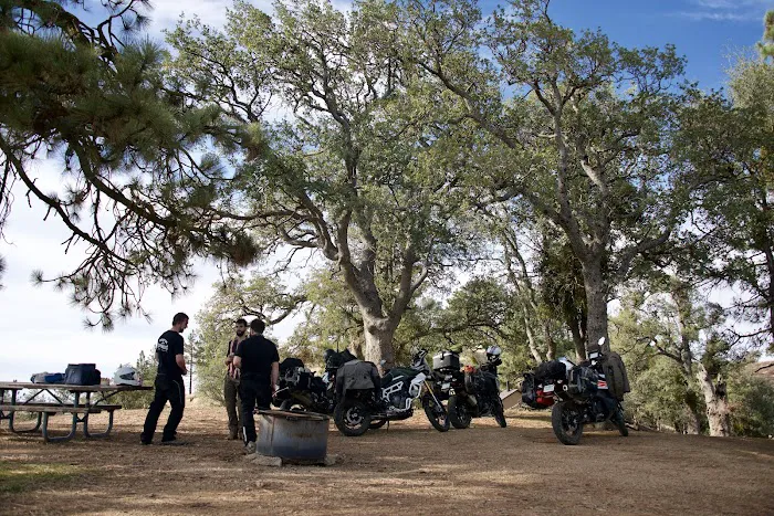 Miranda Pine Campground Picture 4