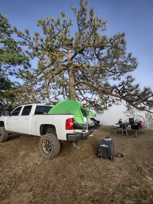 Miranda Pine Campground Picture 7