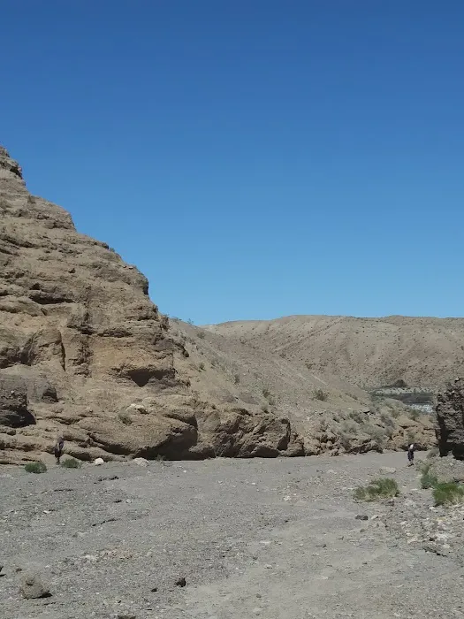Afton Canyon Campground Picture 2