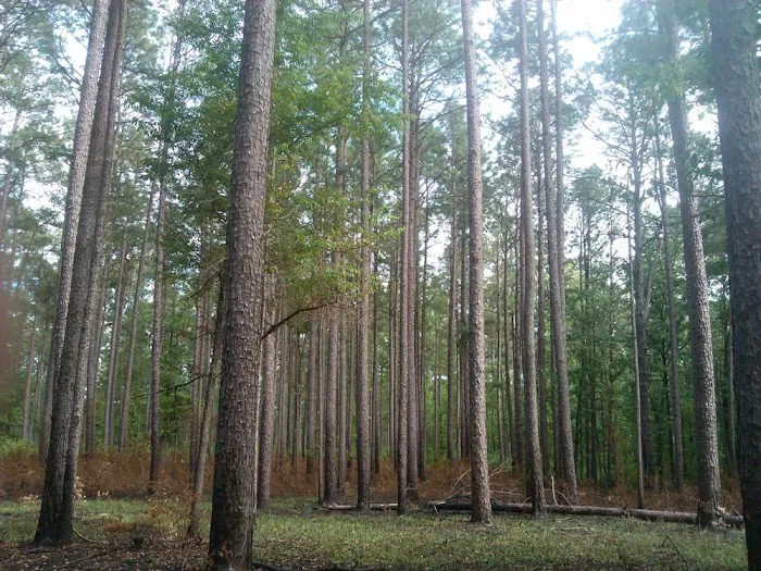 Marathon Campground Picture 5