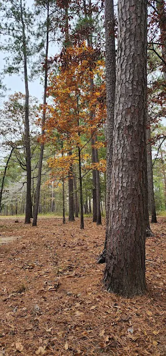 Marathon Campground Picture 9