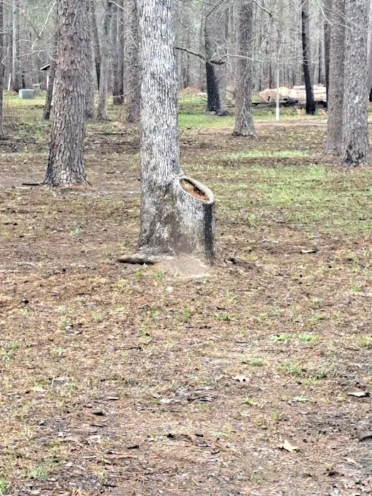 Marathon Campground Picture 7