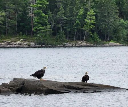 BWCA Campsite #374