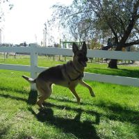 Milnor City Park Campground ico
