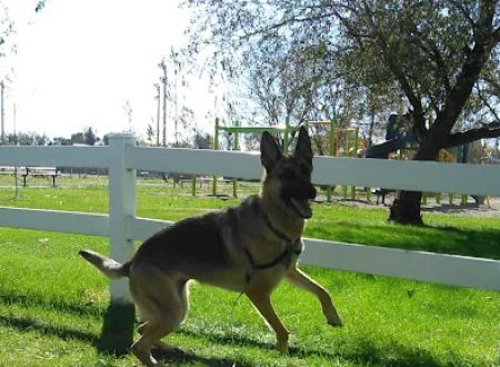 Milnor City Park Campground