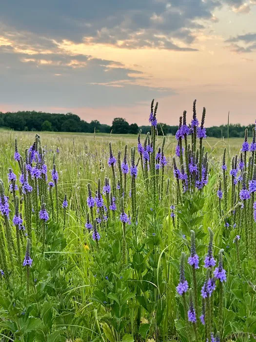 Sheyenne National Grassland Picture 7