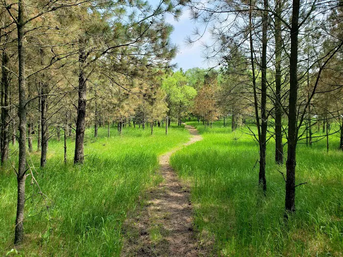 Sheyenne National Grassland Picture 5
