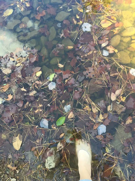Clayton Lake Campground Picture 5