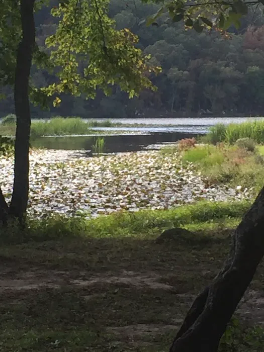 Clayton Lake Campground Picture 4