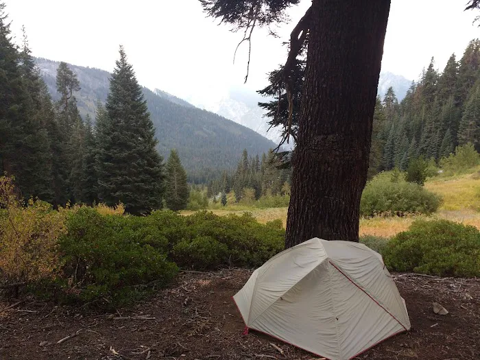 Upper Tent Meadow campsite Picture 3