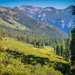 Upper Tent Meadow campsite