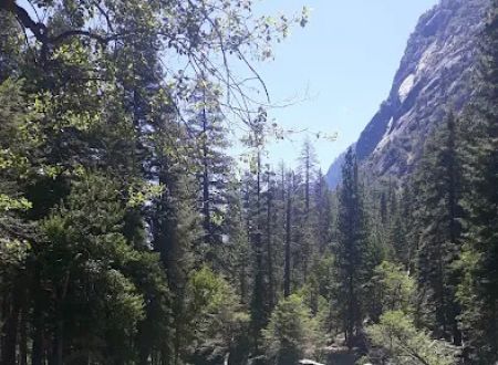 Canyon View Campground