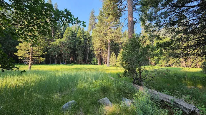 Sentinel Campground Picture 6