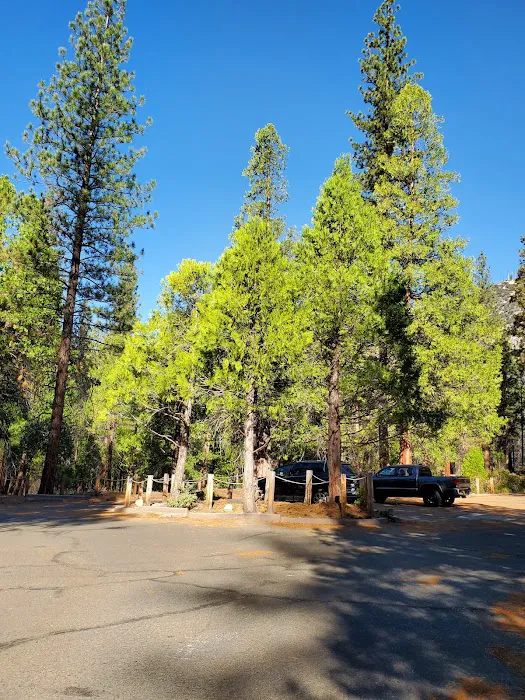 Sentinel Campground Picture 4