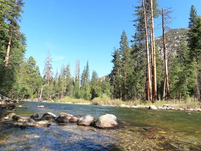 Sentinel Campground Picture 2