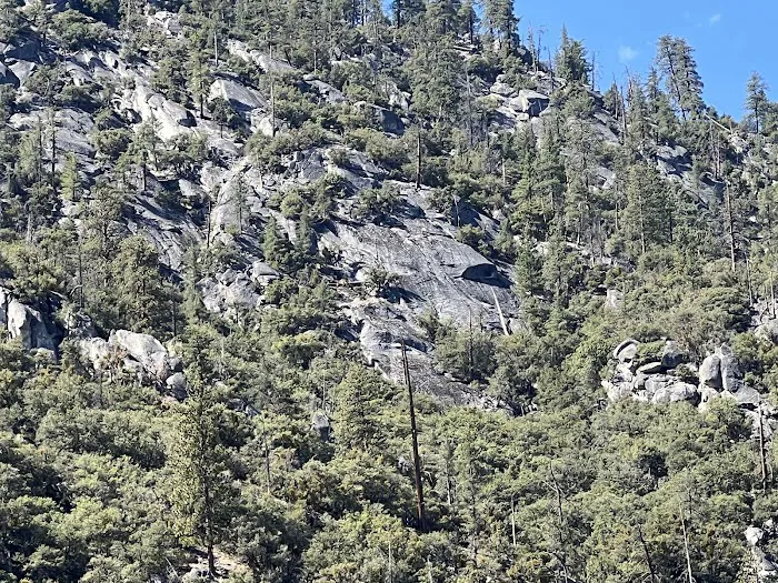 Sentinel Campground Picture 9