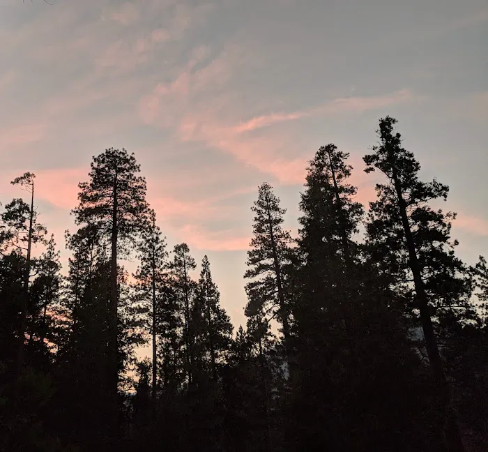 Sheep Creek Campground Picture 4