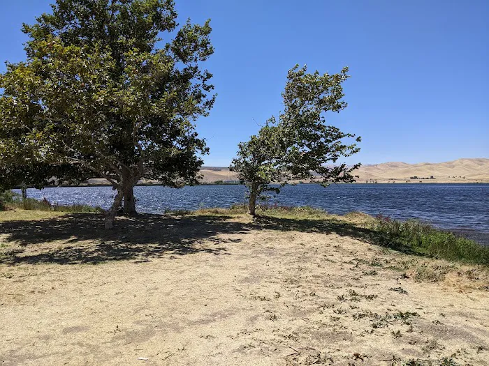 Medeiros Campground - Primitive Picture 3