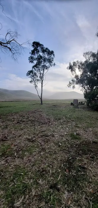 Basalt Campground Picture 1
