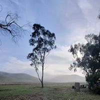 Basalt Campground ico