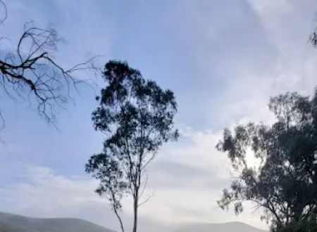 Basalt Campground