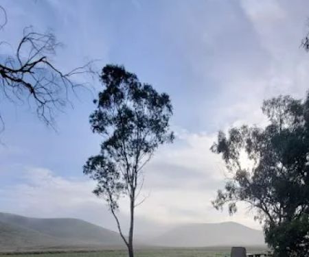 Basalt Campground