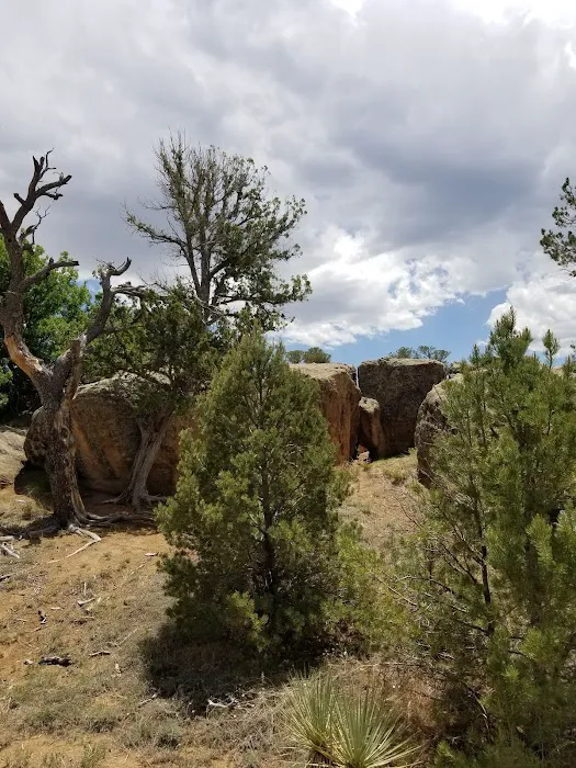 Piñon Campground Picture 5