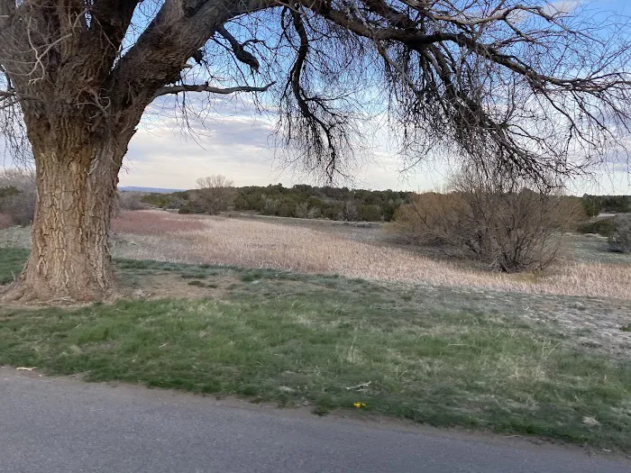 Yucca Campground Picture 8