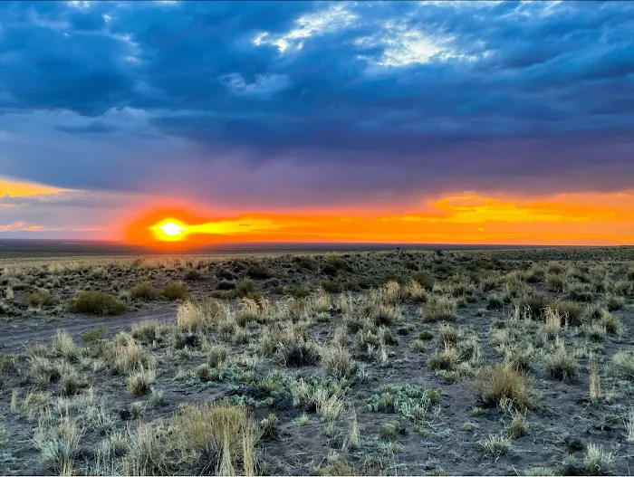 BLM Sacred White Shell Mountain Picture 6