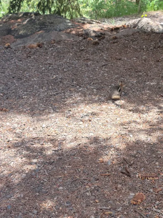 Poso Campground Picture 6