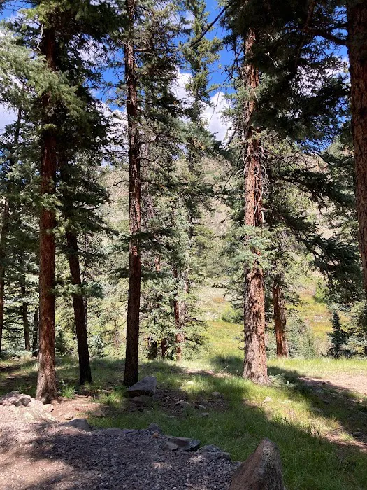 Poso Campground Picture 9