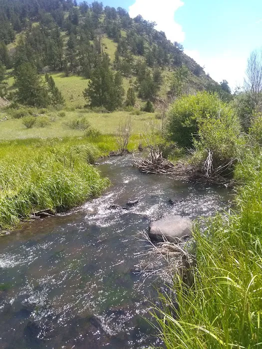 Poso Campground Picture 5