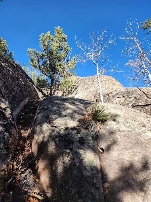 Penitente Canyon Campground Picture 7