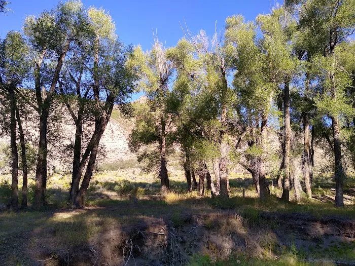 East Elk Creek Group Campground Picture 5