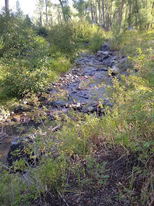 East Elk Creek Group Campground Picture 2