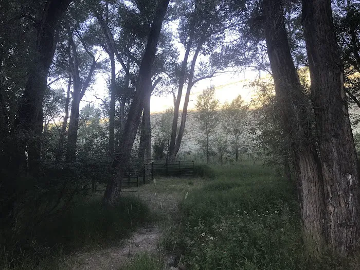 Dry Gulch Campground Picture 10