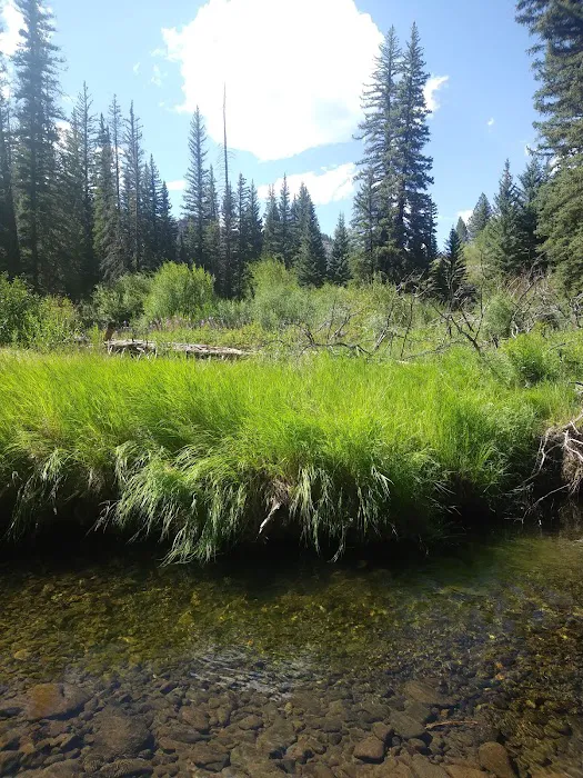 Ponderosa Campground Picture 10