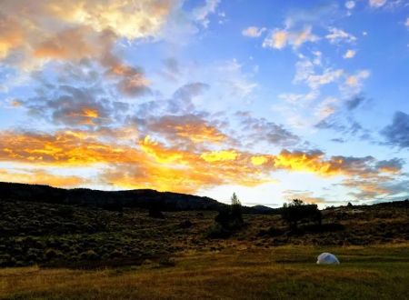 Ponderosa Campground